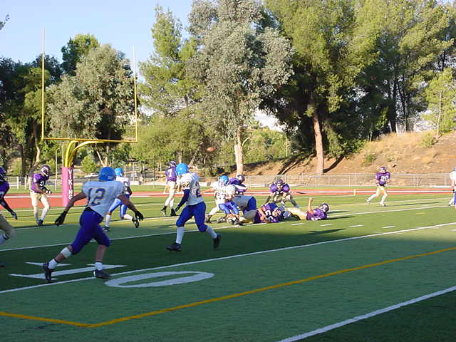 bishopamat4.jpg